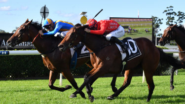 Fast finish: Releem Ruby comes from last to run second to Echo Jet (left) at Warwick Farm on April 17.