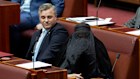 Pauline Hanson sits with her One Nation colleagues during a vote in the Senate.