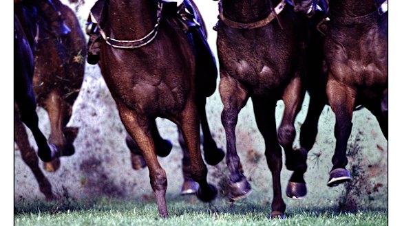 Racing returns to Dubbo on Friday for an seven-race meeting.