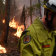 More hazard-reduction burns not the answer, experts warn