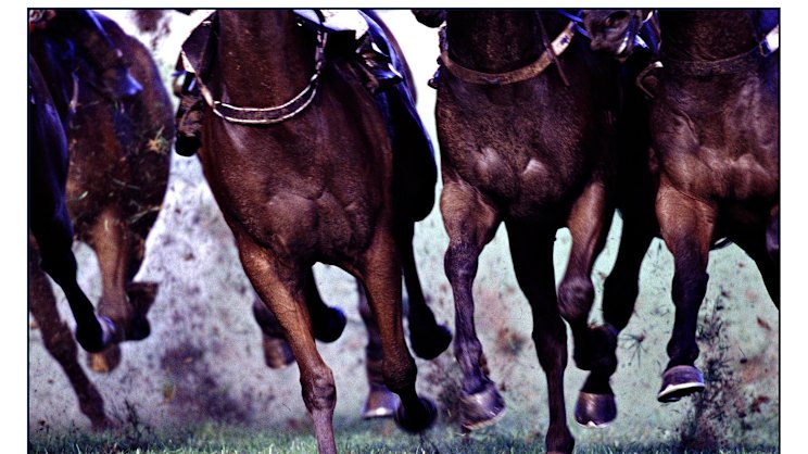 smh.com.au - Ray Hickson - Revealed: What will win and why at Warwick Farm on Wednesday
