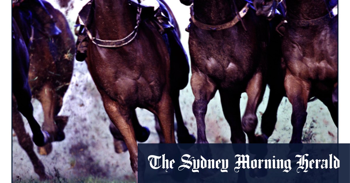 Form adds up to breakthrough win for Mr Eighty Eight