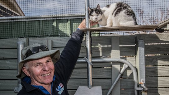Cat containment in effect across more Canberra suburbs