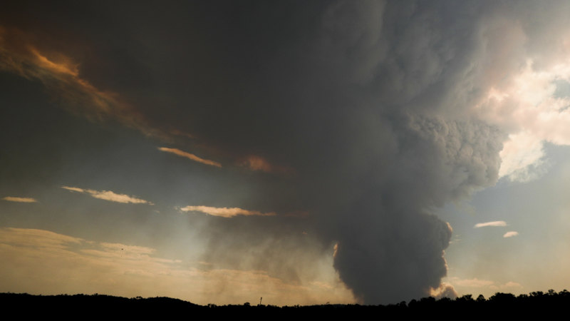 Australia's bushfire smoke will do a full lap of the earth: NASA
