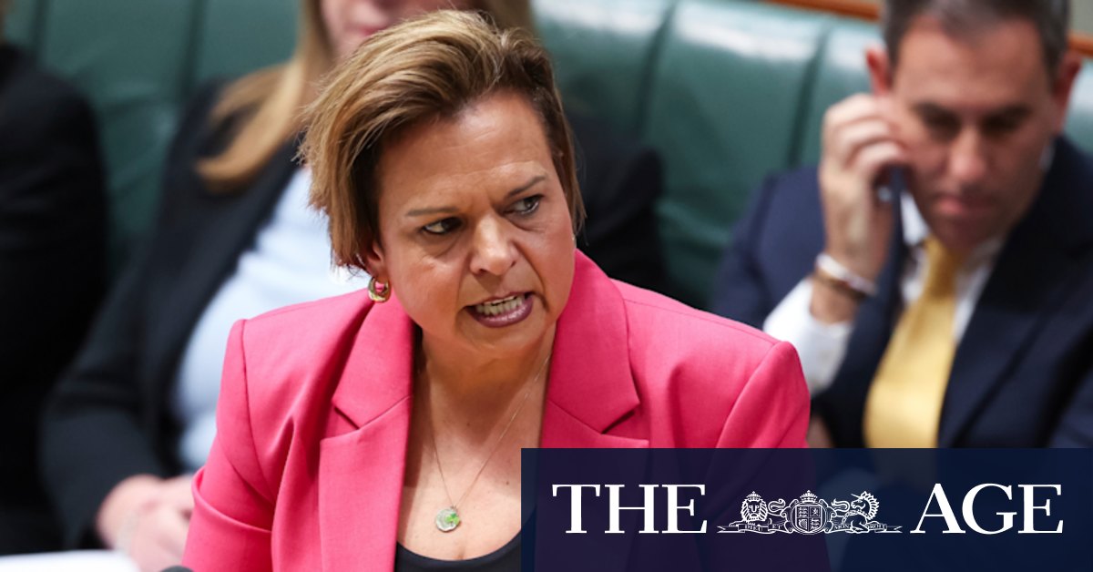 AI Copyright: Labor Rejects Tech Giant Exemption | Australian News