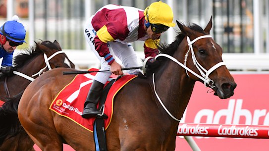 Michael Walker rides Brimham Rocks to victory the Bendigo Bank MRC Foundation Cup at Caulfield.