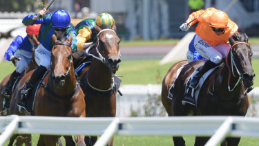 Form gauge: Andrew Adkins rides Kapajack, beaten by Gogoldcoast at trial, to victory at Rosehill on December 1.