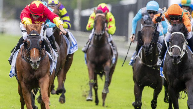 Racing returns to Armidale on Sunday.