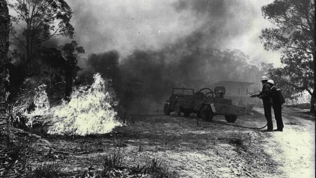 Firemen saving a house in Grose Road, Faulconbridge, on November 27, 1968