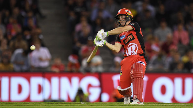 Sam Harper of the Renegades at the crease.