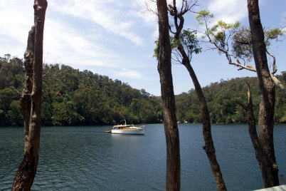 Coal and Candle Creek, Ku-ring-gai National Park.