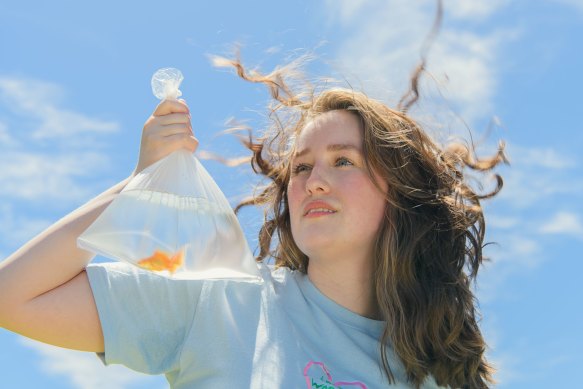 This Is The Last Goldfish That I Am Going to Eat For You is on at Trades Hall until April 23.