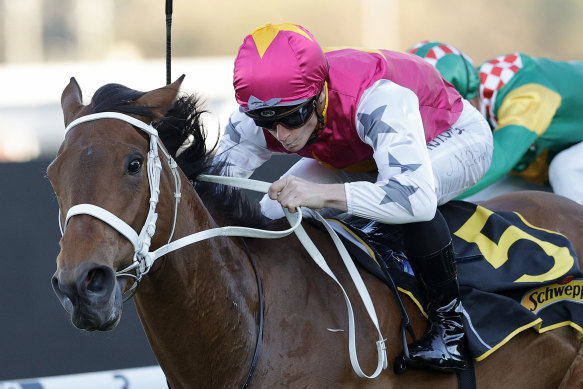 Haut Brion Her makes a much-anticipated return to the track at Rosehill on Saturday.