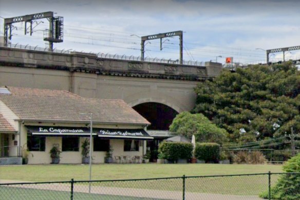 The frangipani likely to be cut down by the plans to build a cyclist access ramp at the northern end of the Harbour Bridge.