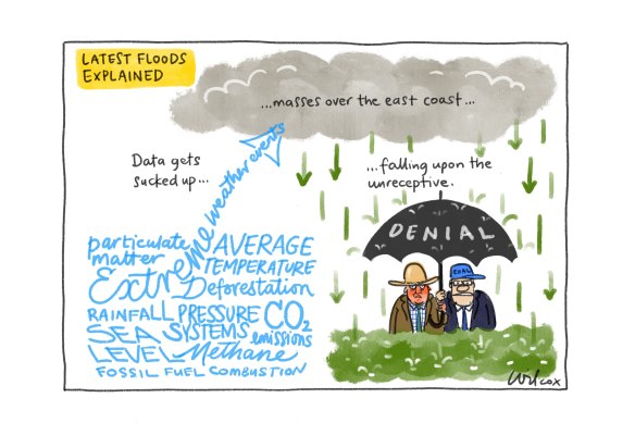 Illustration: Cathy Wilcox