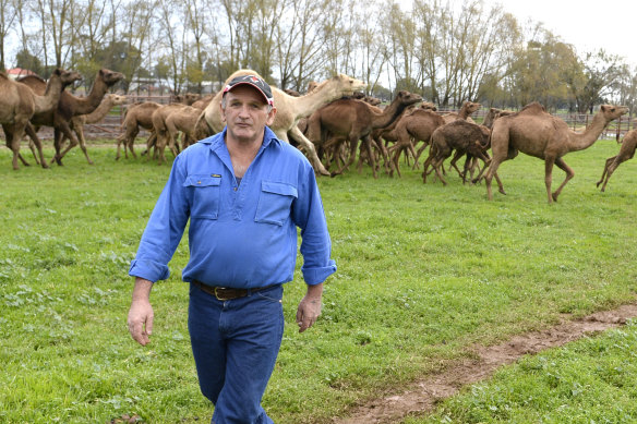 Peter Loffel has traded in camels and cattle, but he also buys horses to send to the abattoir. 