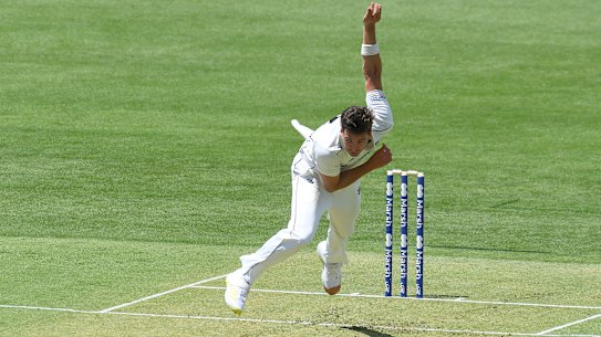 Jhye Richardson blasts out Queensland at the Gabba.