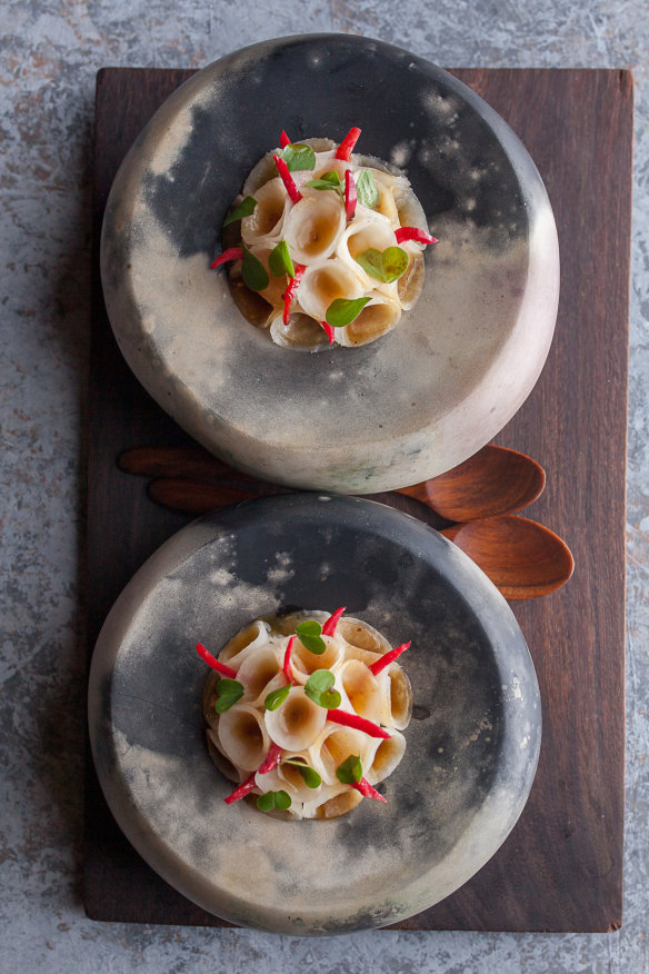 Orana’s kohlrabi, dorrigo, quandong and lemon myrtle. 