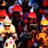 Race-by-race preview and tips for Monday meeting at Muswellbrook