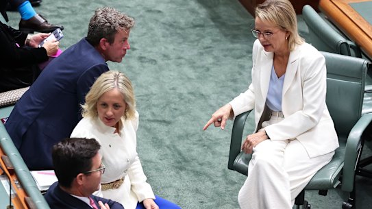 Opposition Leader Sussan Ley talks to energy spokesman Dan Tehan on Thursday.