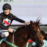 Race-by-race tips and previews for Kembla Grange on Tuesday