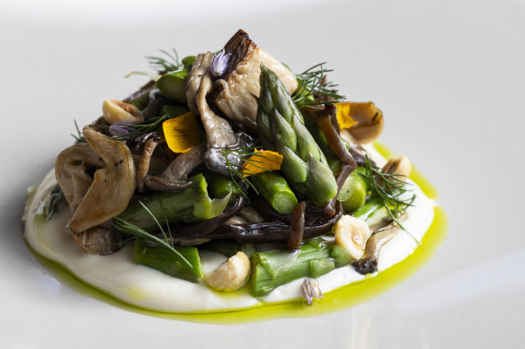 Charred asparagus, roasted and pickled mushrooms and tofu cream.