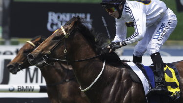 Pending, a three-year-old gelding by Time For War (pictured), is the leading hope of the Garry White stable at Hawkesbury.