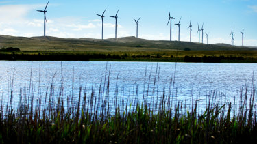 A windfarm in south western Victoria. 