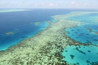 Australia Conservation Foundation chief executive Kelly O’Shanassy said evidence presented to the court would show Scarborough’s emissions would significantly impact the World Heritage-listed Great Barrier Reef.