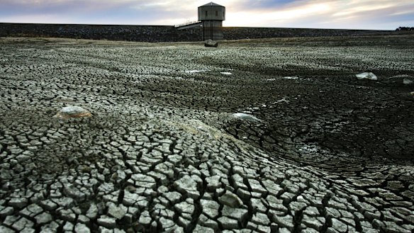 Lake Pejar, one of the main water sources for Goulburn, is drying up.