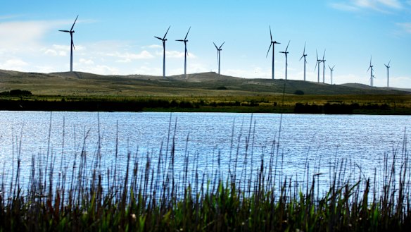 Climate change and energy policy are not the only sectors where reports and reviews blossom.