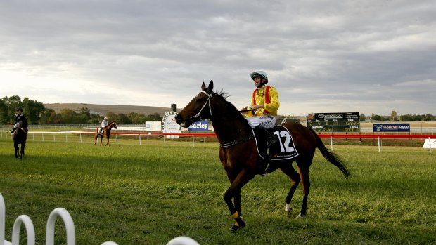 Tricky one: Racing is back at Muswellbrook on Tuesday.