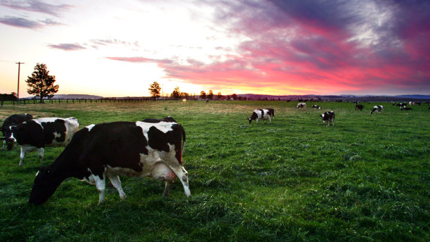 Western Victoria is farming country.