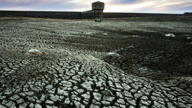 Lake Pejar, one of the main water sources for Goulburn, is drying up.