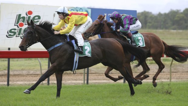 Racing NSW returns to the Hunter region with a nine-race meeting at Cessnock on Monday.