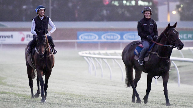 Calm before the storm: Hugh Bowman on Winx and James McDonald on Unforgotten during trackwork at Rosehill this week.