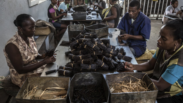 Employees sort cured vanilla at a warehouse owned by Michel Lomone.