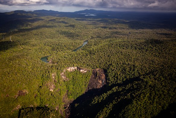 A key slice of the wet tropics is up for protection.