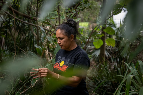 Explore Byron Bay offers bush tucker tours.