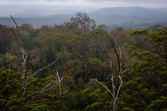 Wooroora forested areas.