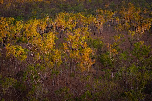 The sun sets overlooking Yourka Reserve.