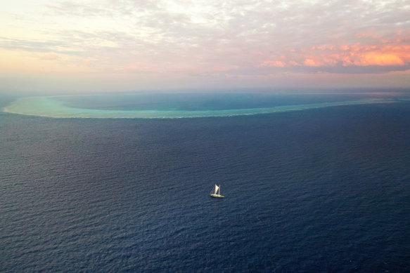 Greenpeace’s Rainbow Warrior visited the Scott Reef in 2023.