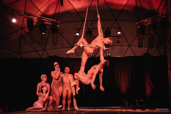 Fans of gravity-defying acrobatics won’t be disappointed.