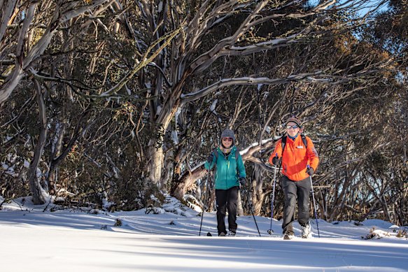 Glen Clark and Masumi Ueda snowshoeing at Hotham.