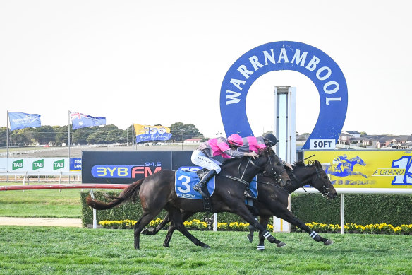 On the trot: Vanguard wins the Brierly Steeplechase. 