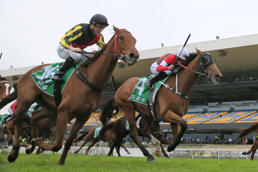 Tuscan Light (black cap), pictured   running second to Tavion Prince in a Highway at Rosehill, is  selected in race 3.