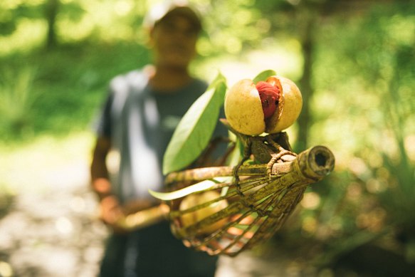 The oldest nutmeg plantations in the world can be found on Banda Neira.