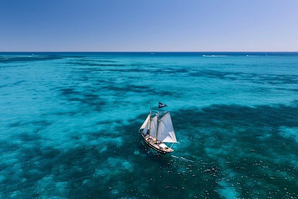 The voyage on Willie feels like it ends too soon.