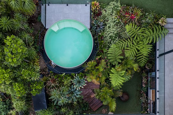 Plunge pools can be customised with seating and lights.