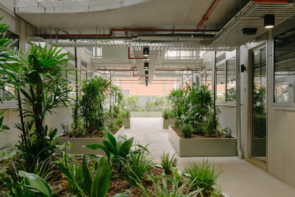 The breezeway between apartments at Assemble Kensington.